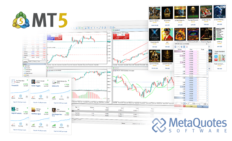 MetaTrader 5 macOS 终端安装