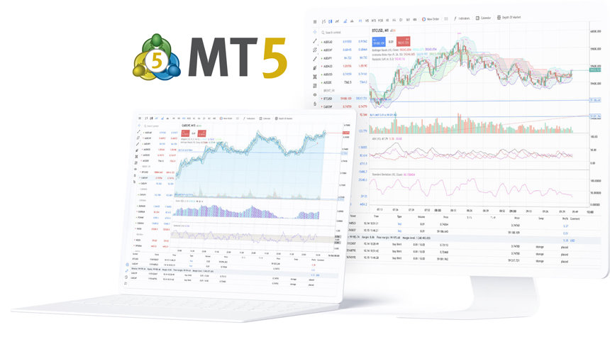 MetaTrader 5 网页终端界面